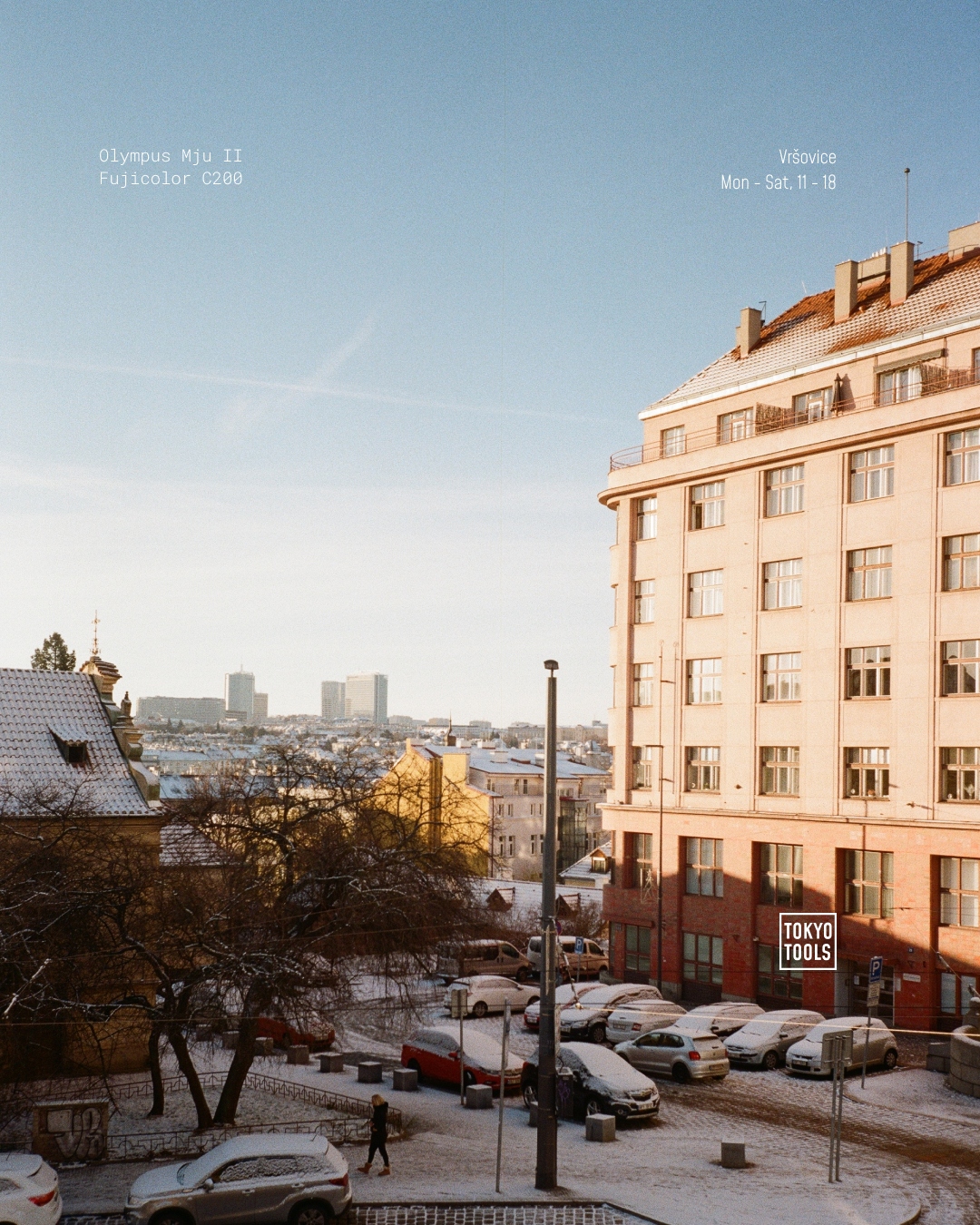 VRSOVICE-ANALOG_JANUARY_4x5